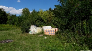 2013-08-24-kiesgrube-postfenn-058-klein