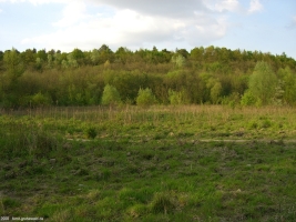 2008-05-05-cimg2515-klein