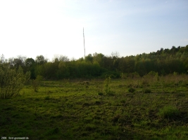 2008-05-05-cimg2518-klein