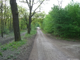 2008-05-05-cimg2604-klein