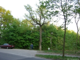 2008-05-05-cimg2611-klein