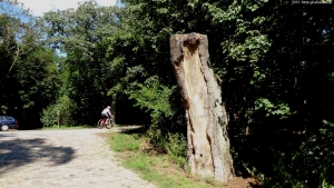 2013-08-24-kiesgrube-postfenn-003-klein