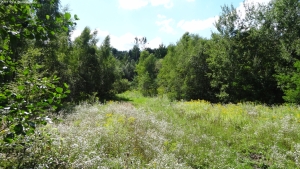 2013-08-24-kiesgrube-postfenn-011-klein