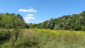 2013-08-24-kiesgrube-postfenn-016-klein