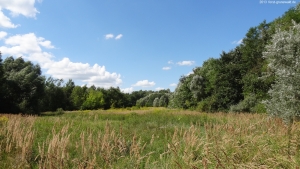 2013-08-24-kiesgrube-postfenn-021-klein