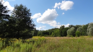 2013-08-24-kiesgrube-postfenn-024-klein