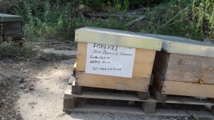 2013-08-24-kiesgrube-postfenn-078-klein