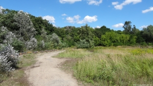 2013-08-24-kiesgrube-postfenn-080-klein