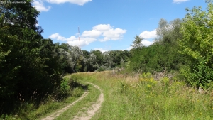 2013-08-24-kiesgrube-postfenn-083-klein