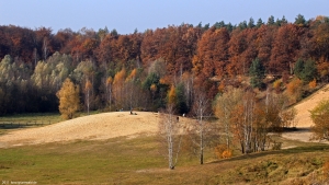 2011-11-01-kiesgr-ii-a-klein
