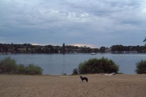 036 - Dachsberge Galerie 10: Kuhhorn