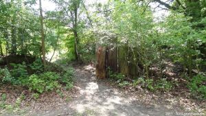 2011-dsc00621-klein