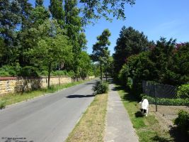 2017-06-02-wandalenallee-kdf-stadt-dsc01606-klein