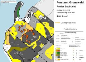 2016-forstbetriebskarte-dachsberg