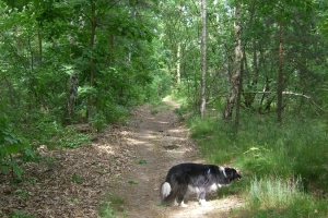 Murellenschlucht Galerie 03: Murellenberg