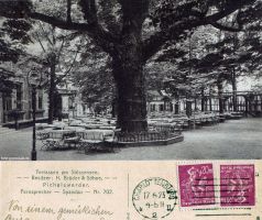 1923-06-17-terrasen-am-stoessensee-eiche-michel-241-klein