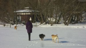 2010-01-31-stoessensee-021-a-klein