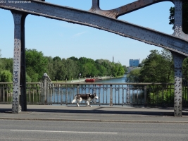 2012-05-26-097-klein