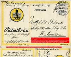 1915-06-08-pichelbraeu-klein