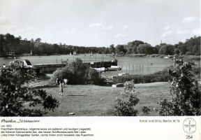 1950-ca-stoessense-klein