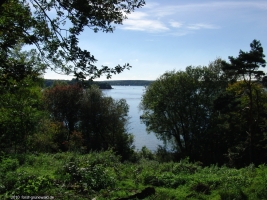 2010-10-13-cimg-119-klein