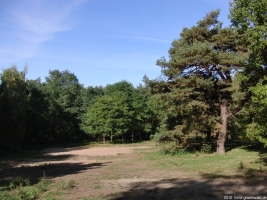 2010-10-13-cimg-128-klein