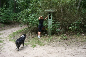 Polizeimelder - Vier Eichen