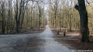2011-cimg1832-russenbruecke-klein