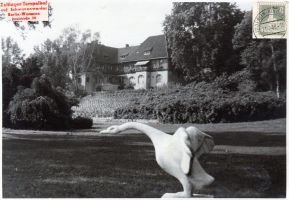 1958-07-21-Schwanenwerder-1600