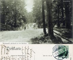 1910-02-02-an-der-saubucht-klein