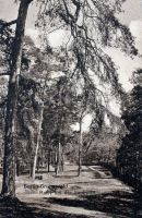 1918-ca-grunewald-bei-der-saubucht-klein