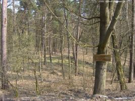 2009-april-04-filmaufnahmen-bilderbuch-grunewald_11-klein