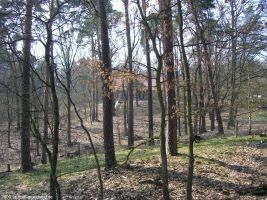 2009-april-04-filmaufnahmen-bilderbuch-grunewald_17-klein
