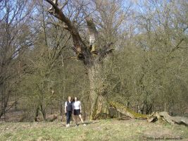 2009-april-04-filmaufnahmen-bilderbuch-grunewald_70-klein