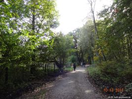2012-10-13-pechsee-und-saubucht-040-klein