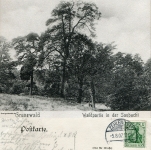 1907-08-05-an-der-saubucht-doppelbild-2-klein