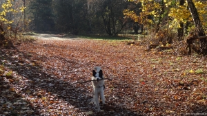 2014-11-17-ruhleben-036-klein