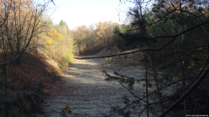 2014-11-17-ruhleben-080-klein