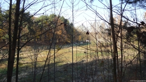 2014-11-17-ruhleben-082-klein