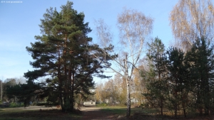 2014-11-17-ruhleben-087-klein