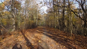 2014-11-17-ruhleben-104-klein