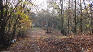 2014-11-17-ruhleben-106-klein