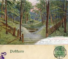1904-07-11-Schildhorn-klein