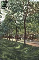 1909-ca-Weg-nach-Schildhorn-klein