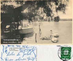1959-schildhornspitze-klein