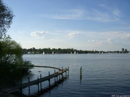 2008-05-07-cimg2642-klein