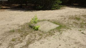 2017-06-19-dsc01762-site-4-klein