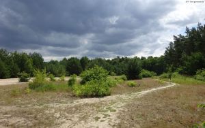 2017-07-16-site4-dsc02019-klein