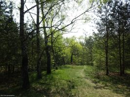 2018-04-21-site4-jagen87-dsc03300-klein