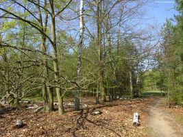 2018-04-21-site4-jagen87-dsc03301-klein